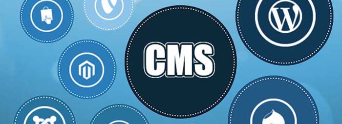 CMS Features for Business 2020