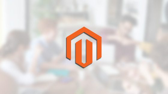 magento eshop erp